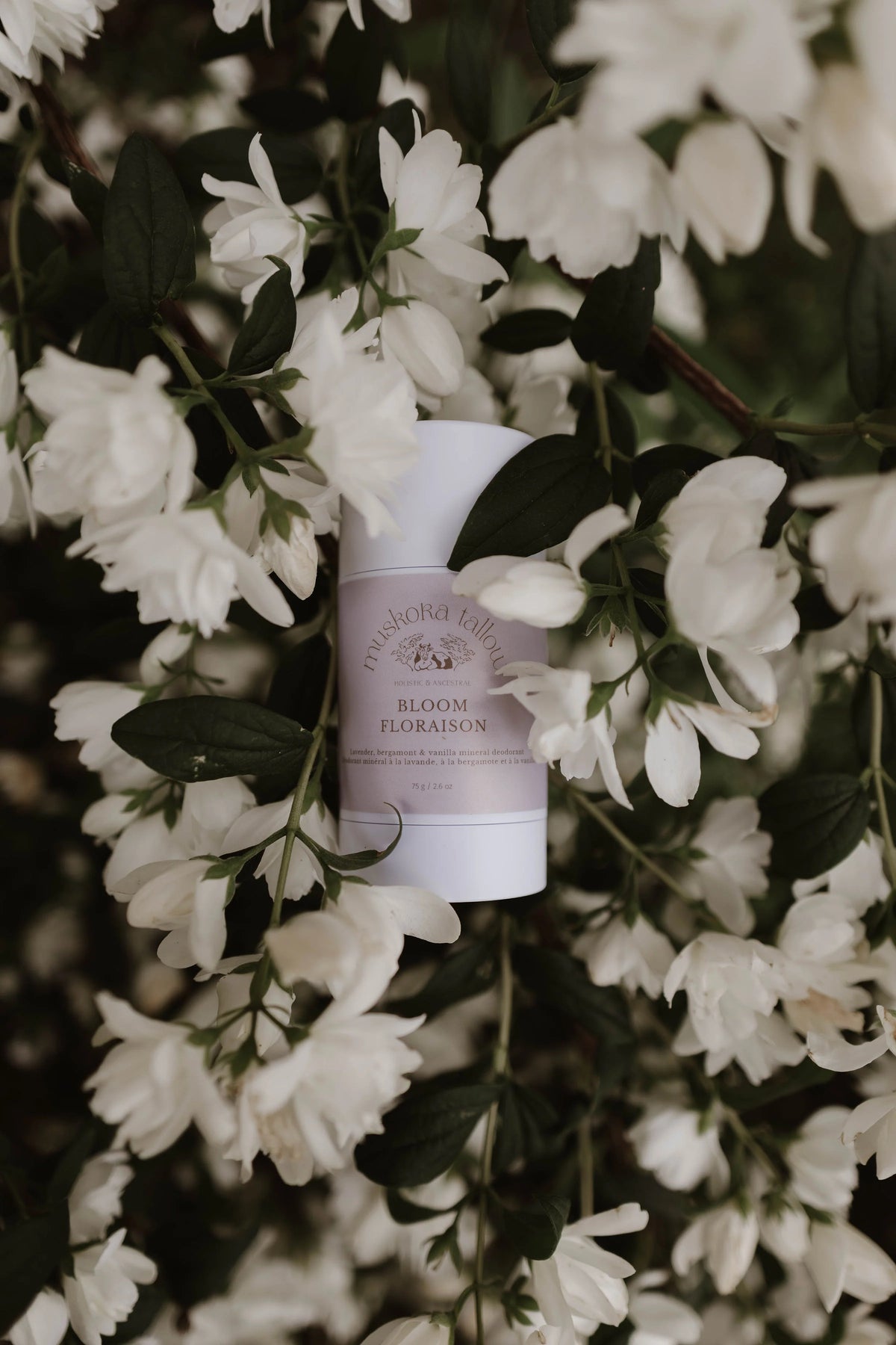 Muskoka Tallow - Deodorant