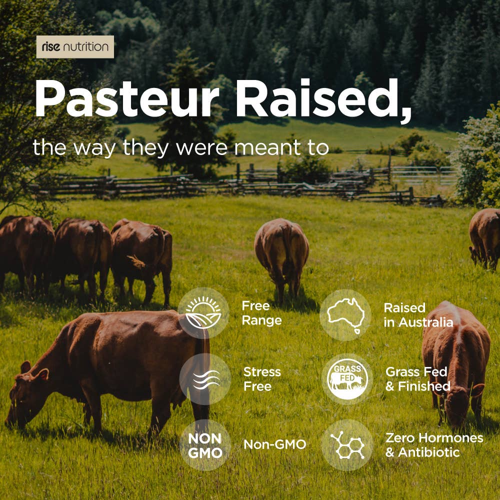 Rise Nutrition - Grass-Fed Beef Liver