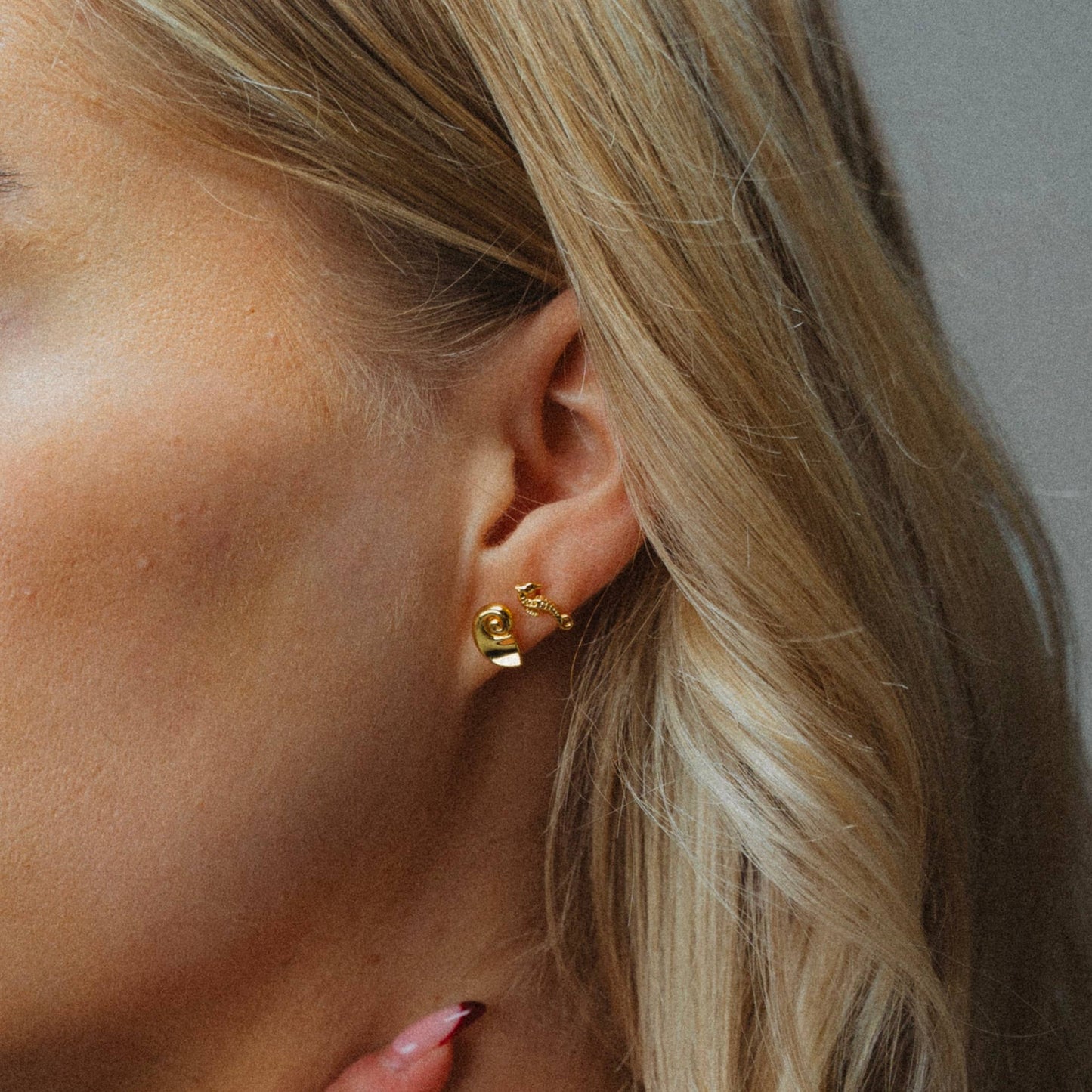 Namaste Jewelry - Nautilus Shell Studs