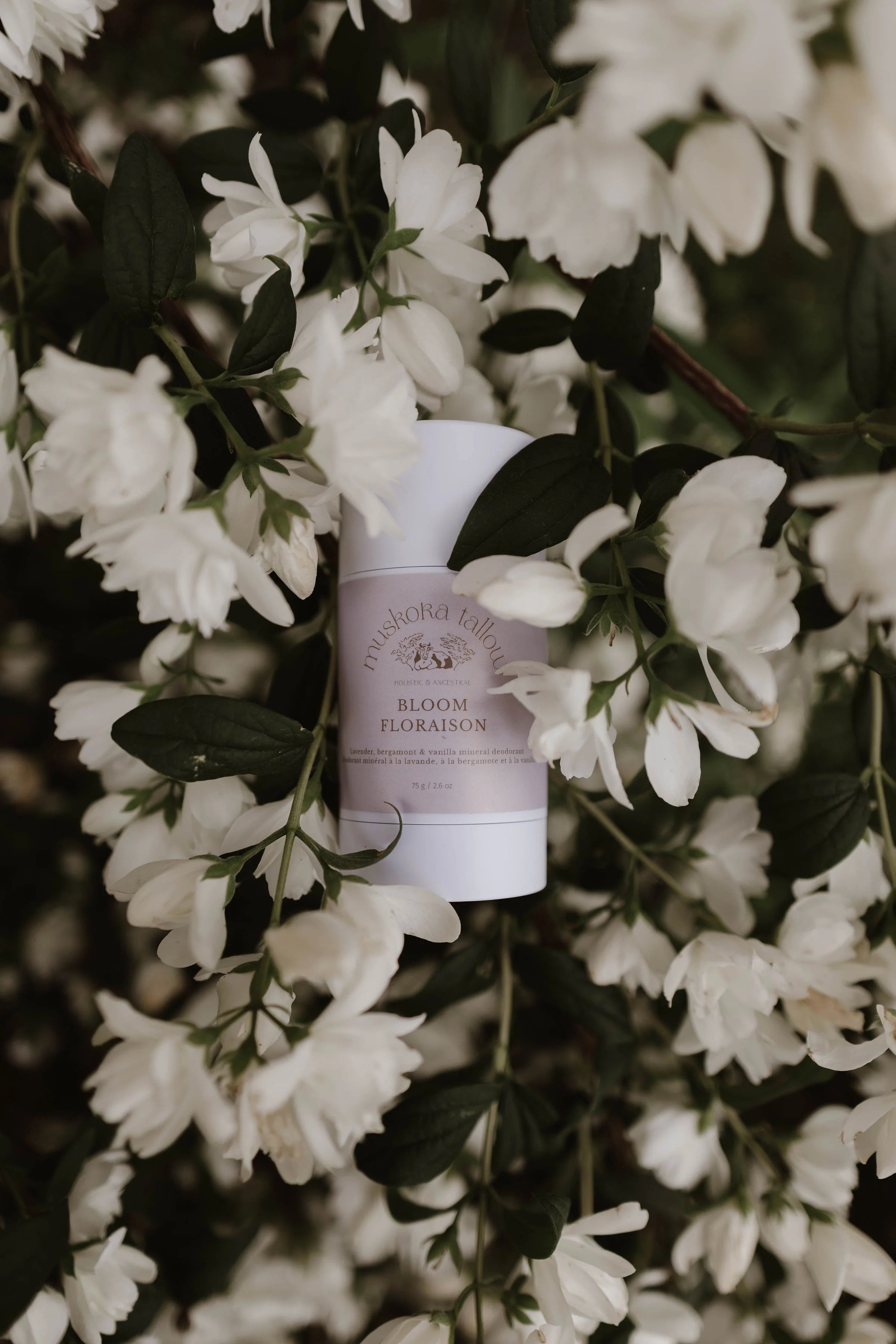 Muskoka Tallow - Deodorant