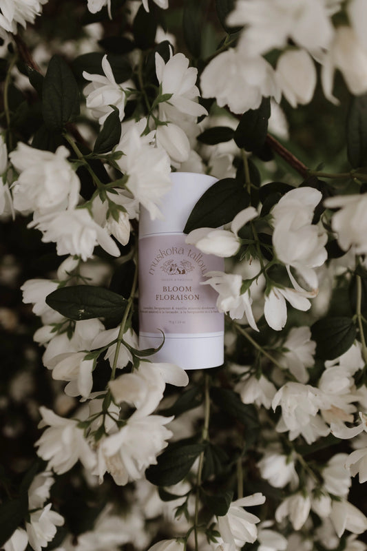 Muskoka Tallow - Deodorant