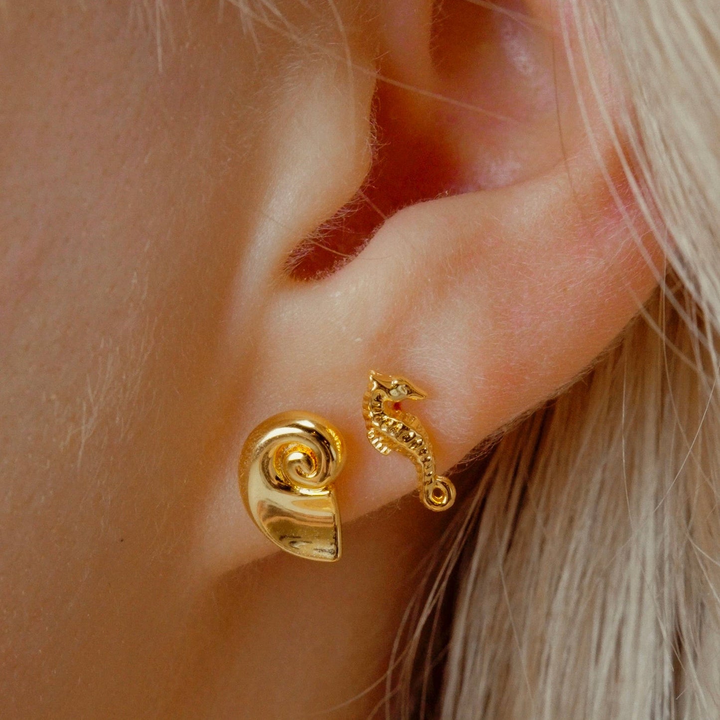 Namaste Jewelry - Nautilus Shell Studs